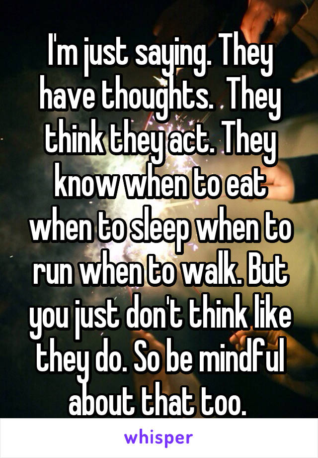I'm just saying. They have thoughts.  They think they act. They know when to eat when to sleep when to run when to walk. But you just don't think like they do. So be mindful about that too. 