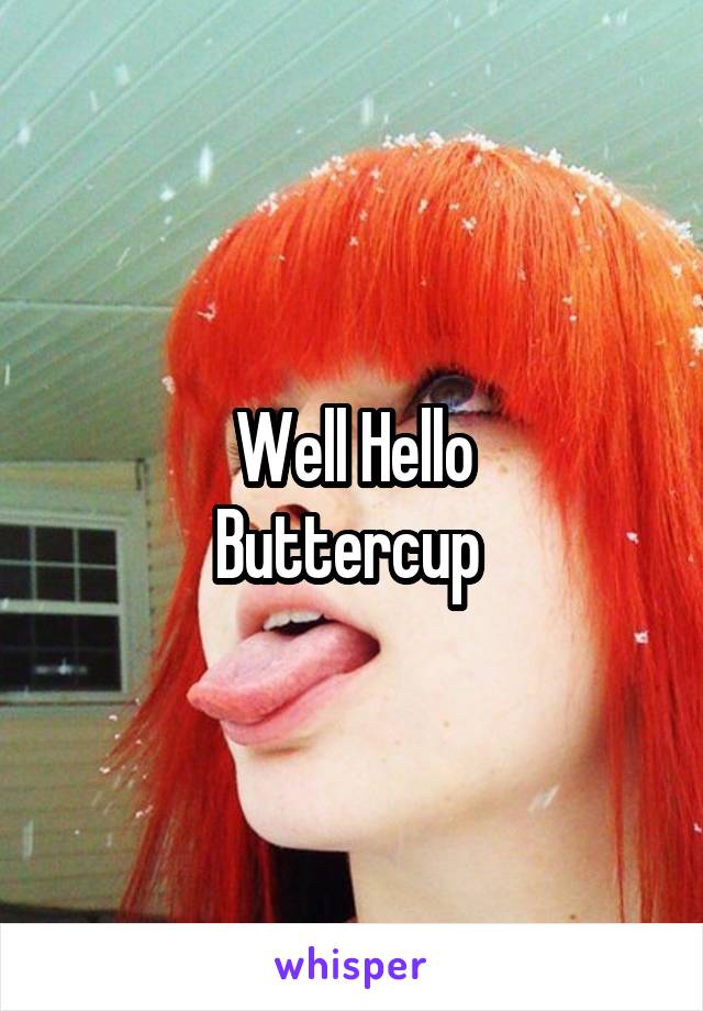 Well Hello
Buttercup 