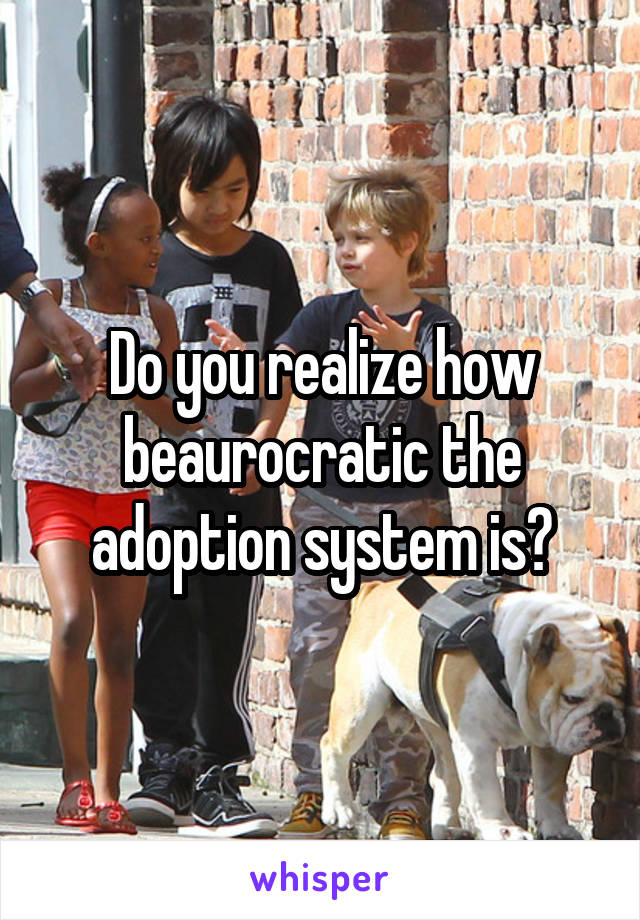 Do you realize how beaurocratic the adoption system is?