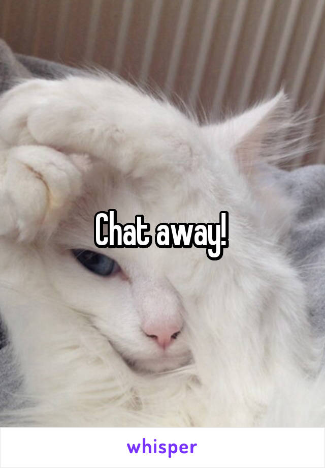 Chat away! 