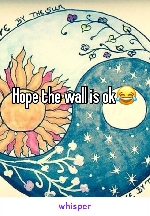 Hope the wall is ok😂