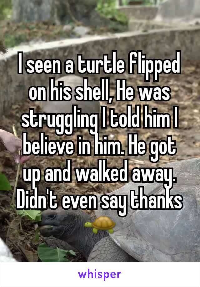 I seen a turtle flipped on his shell, He was struggling I told him I believe in him. He got up and walked away. Didn't even say thanks 🐢
