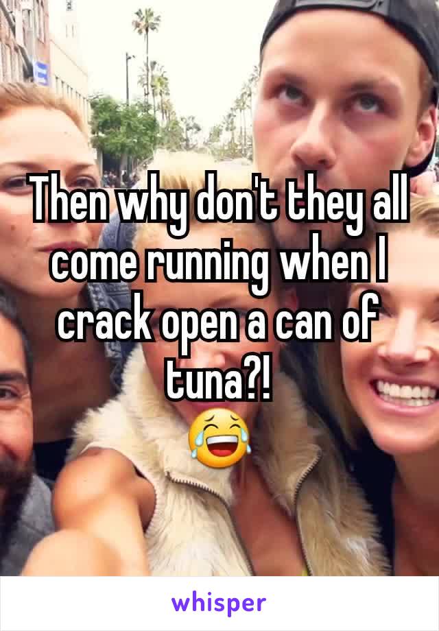 Then why don't they all come running when I crack open a can of tuna?!
😂