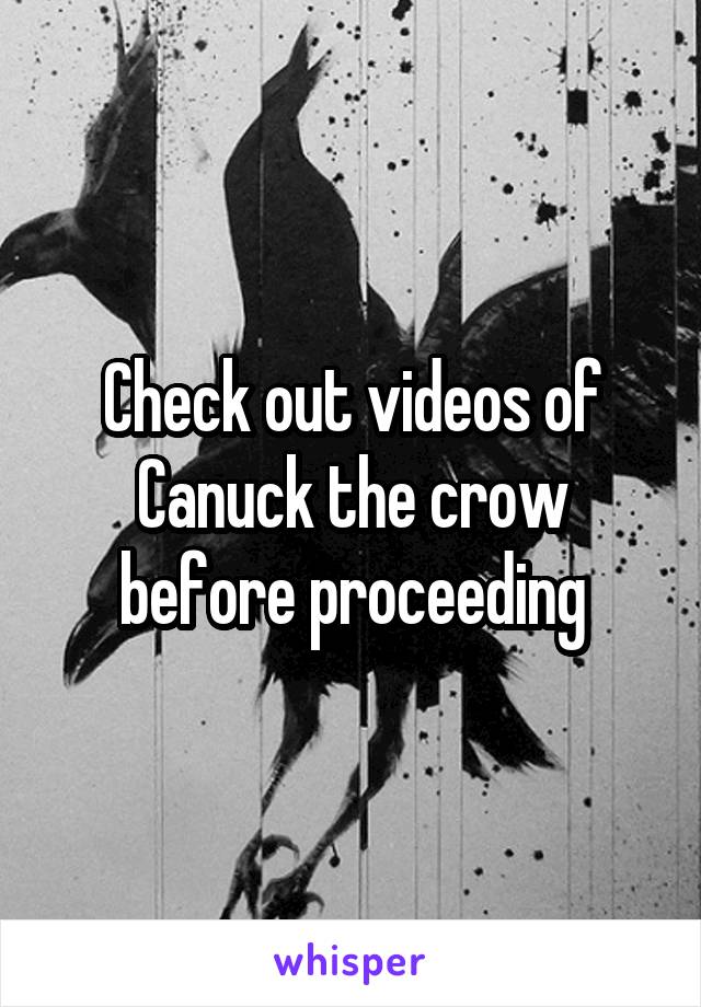 Check out videos of Canuck the crow before proceeding