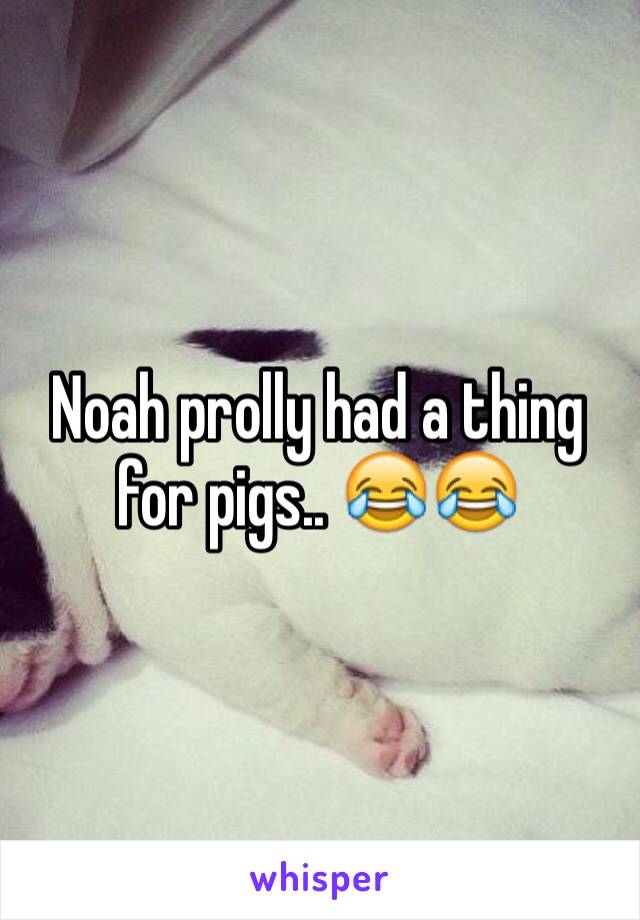 Noah prolly had a thing for pigs.. 😂😂