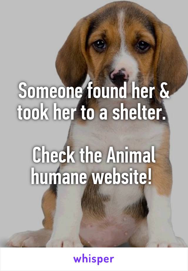 Someone found her & took her to a shelter. 
  
Check the Animal humane website! 
