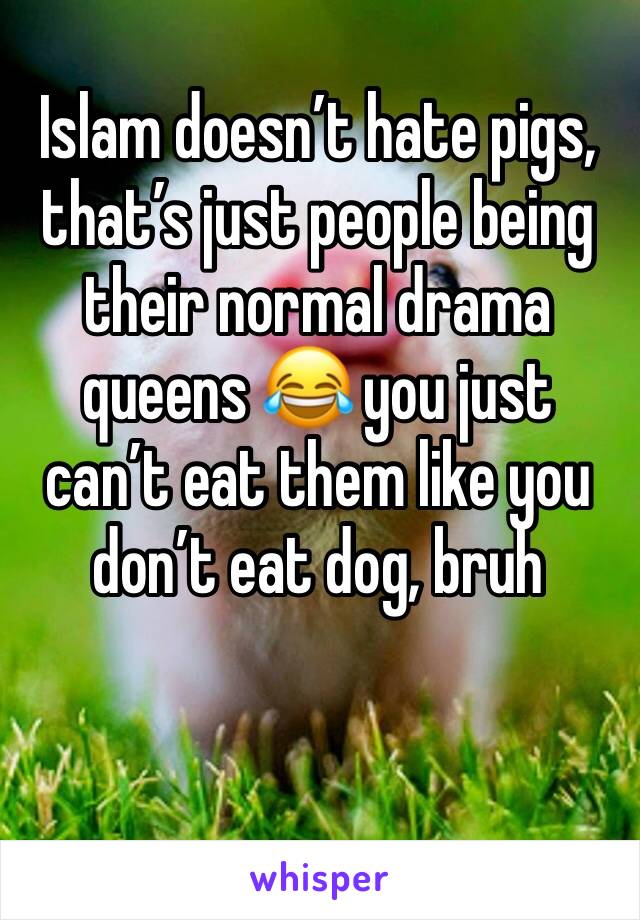 Islam doesn’t hate pigs, that’s just people being their normal drama queens 😂 you just can’t eat them like you don’t eat dog, bruh