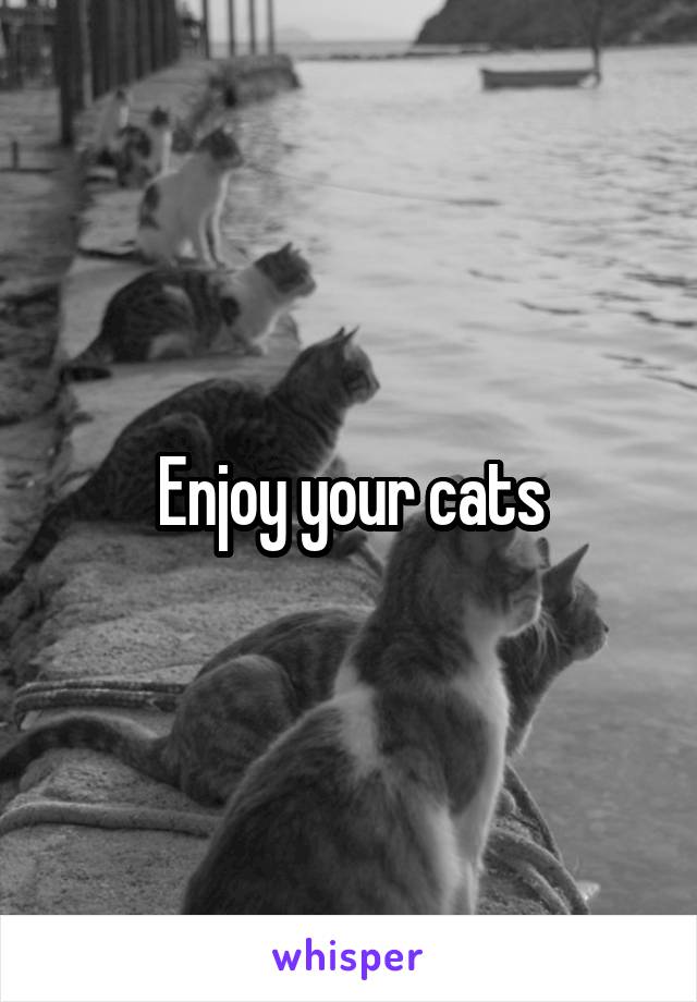 Enjoy your cats