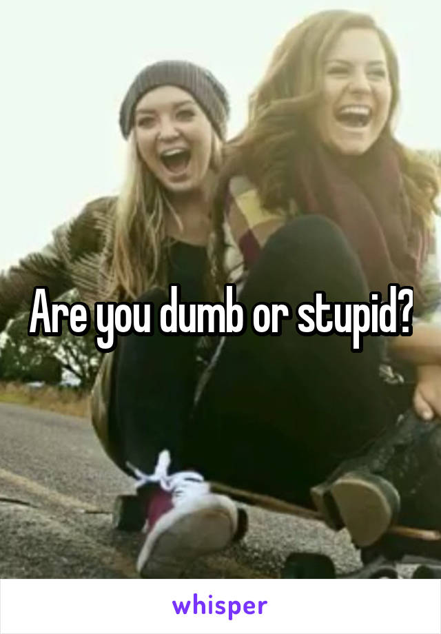 Are you dumb or stupid?