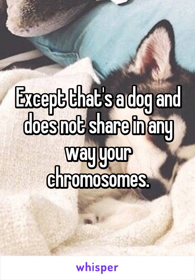 Except that's a dog and does not share in any way your chromosomes.