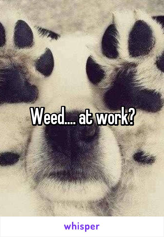 Weed.... at work?