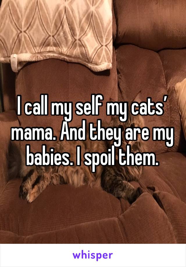 I call my self my cats’ mama. And they are my babies. I spoil them.