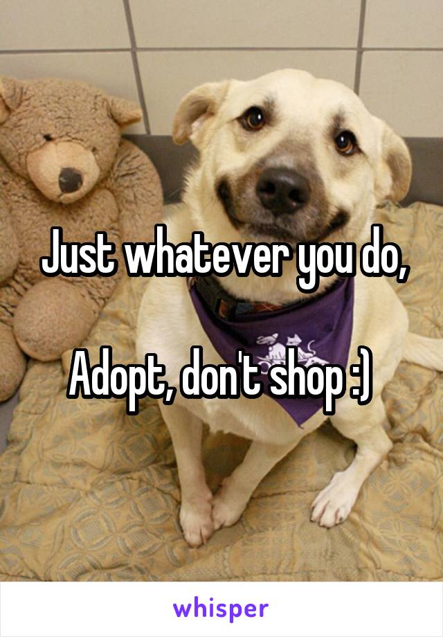 Just whatever you do,

Adopt, don't shop :) 