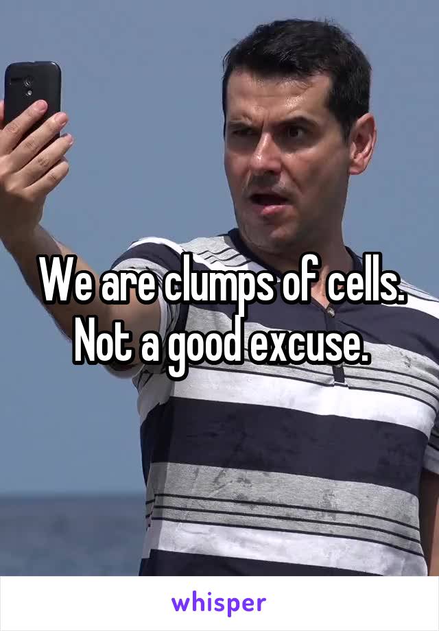 We are clumps of cells. Not a good excuse.