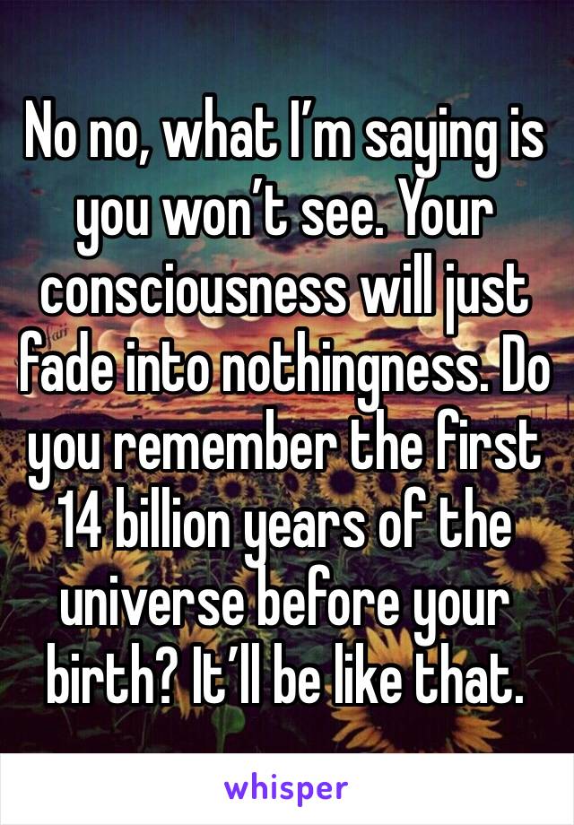 No no, what I’m saying is you won’t see. Your consciousness will just fade into nothingness. Do you remember the first 14 billion years of the universe before your birth? It’ll be like that.