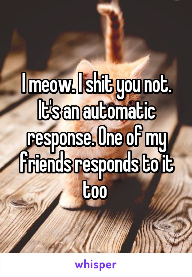 I meow. I shit you not. It's an automatic response. One of my friends responds to it too 