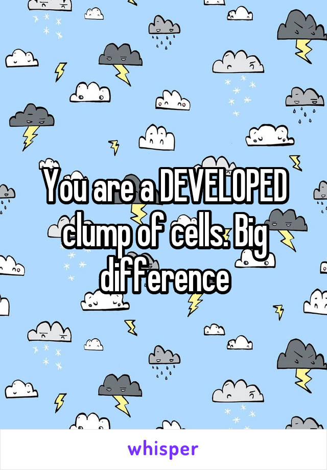 You are a DEVELOPED clump of cells. Big difference