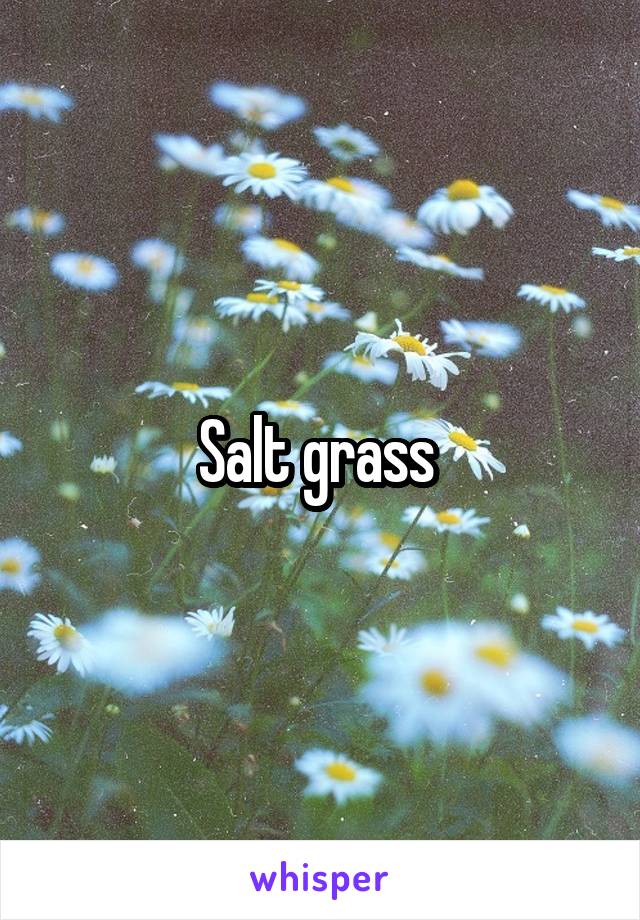 Salt grass 