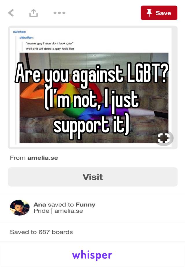 Are you against LGBT?
(I’m not, I just support it)
