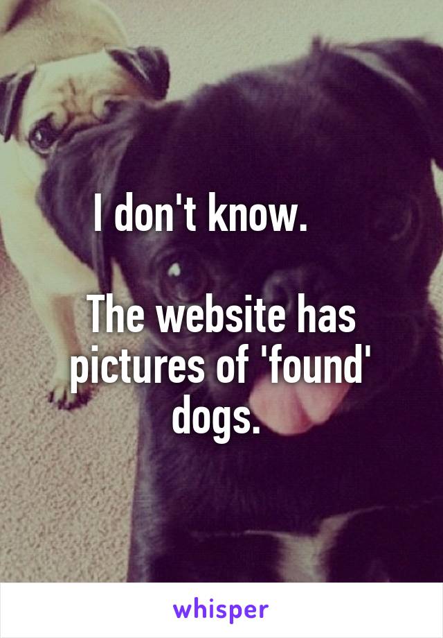 I don't know.    

The website has pictures of 'found' dogs. 