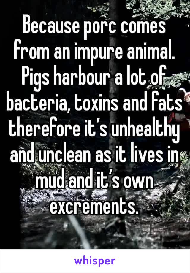 Because porc comes from an impure animal. Pigs harbour a lot of bacteria, toxins and fats therefore it’s unhealthy and unclean as it lives in mud and it’s own excrements. 