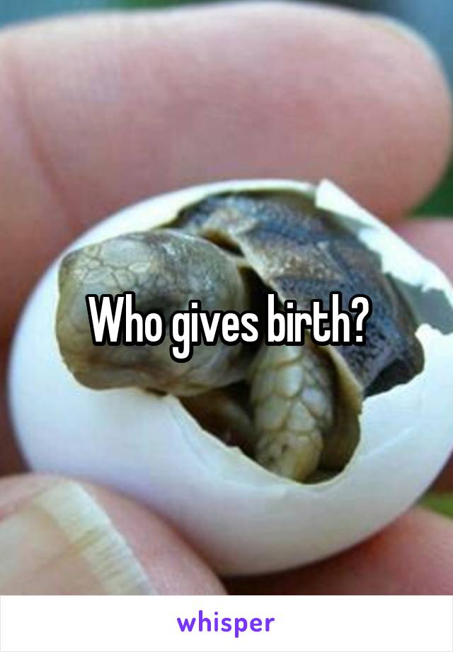 Who gives birth?