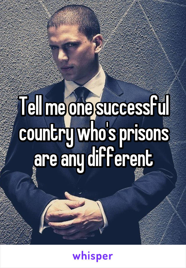 Tell me one successful country who's prisons are any different