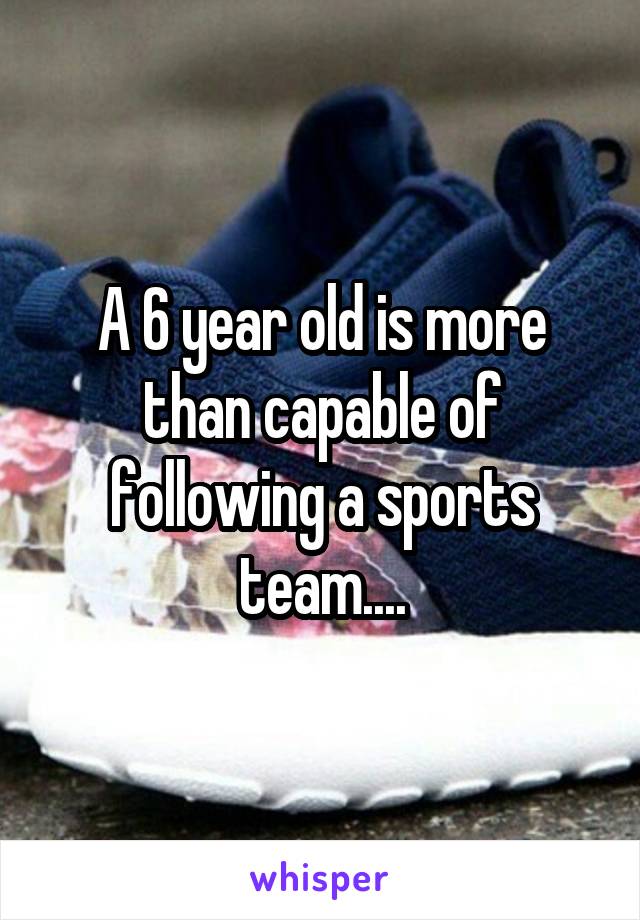 A 6 year old is more than capable of following a sports team....