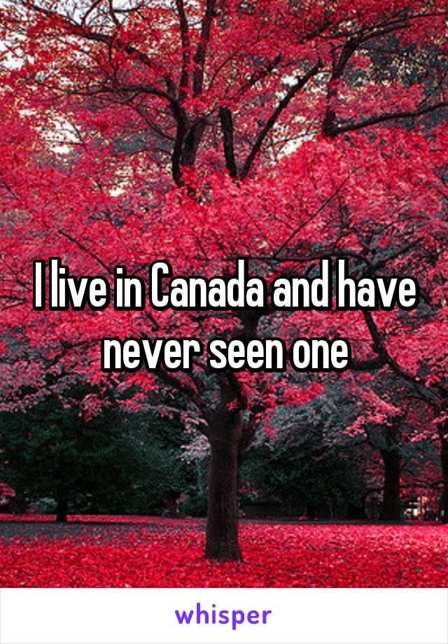 I live in Canada and have never seen one