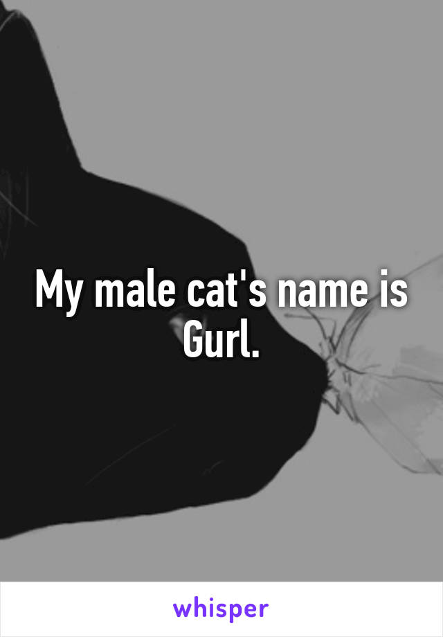 My male cat's name is Gurl.