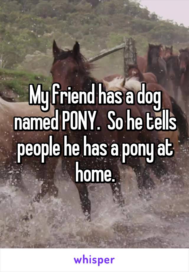 My friend has a dog named PONY.  So he tells people he has a pony at home.