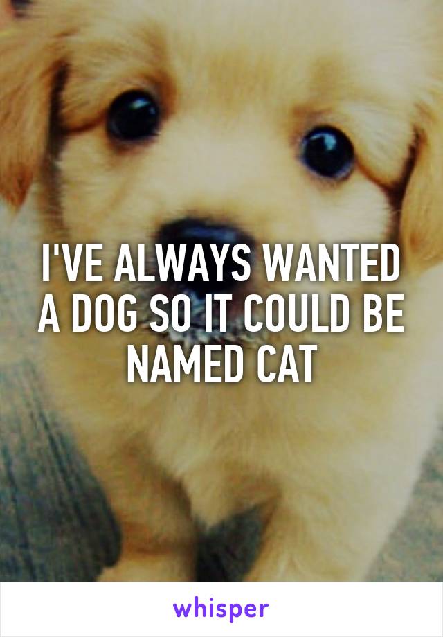I'VE ALWAYS WANTED A DOG SO IT COULD BE NAMED CAT