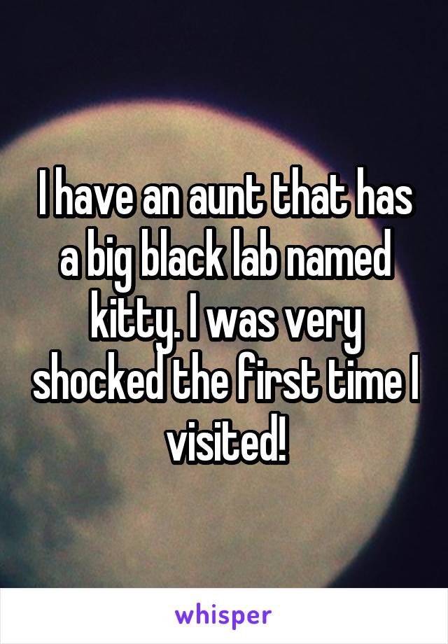 I have an aunt that has a big black lab named kitty. I was very shocked the first time I visited!
