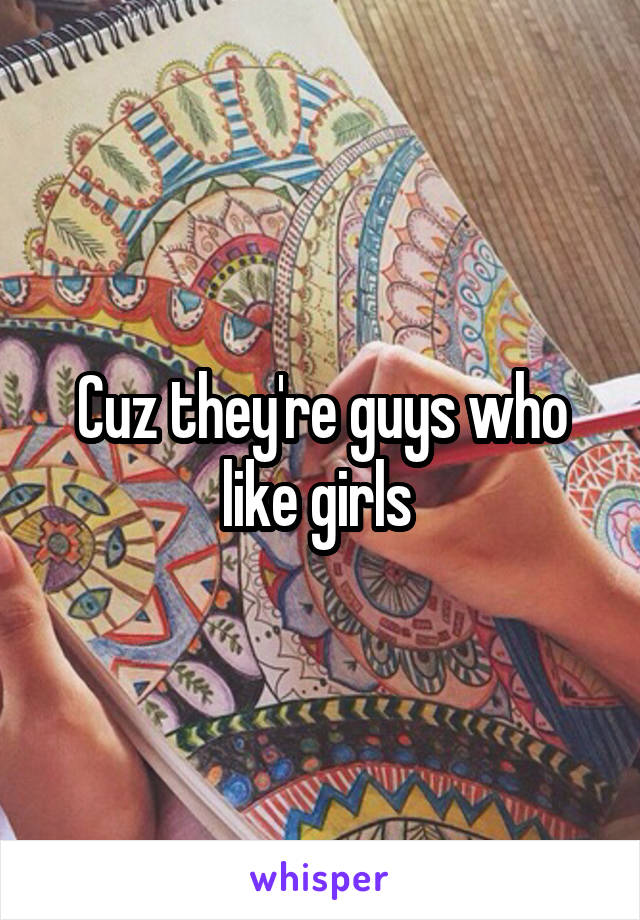 Cuz they're guys who like girls 