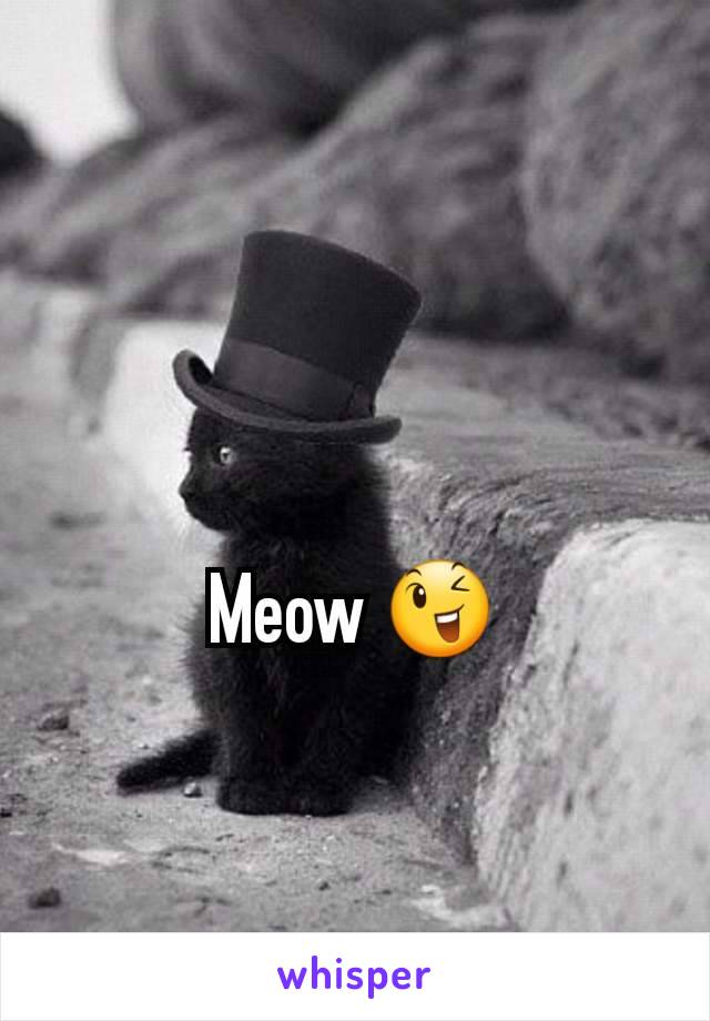 Meow 😉