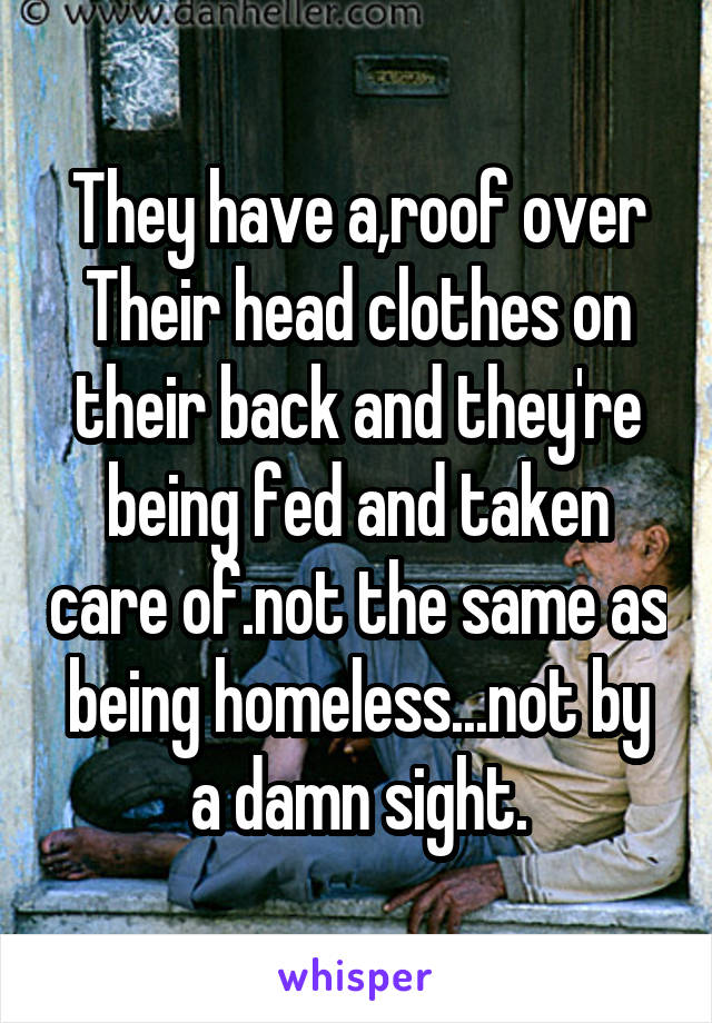 They have a,roof over Their head clothes on their back and they're being fed and taken care of.not the same as being homeless...not by a damn sight.