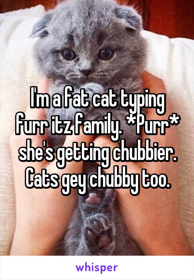 I'm a fat cat typing furr itz family. *Purr* she's getting chubbier. Cats gey chubby too.