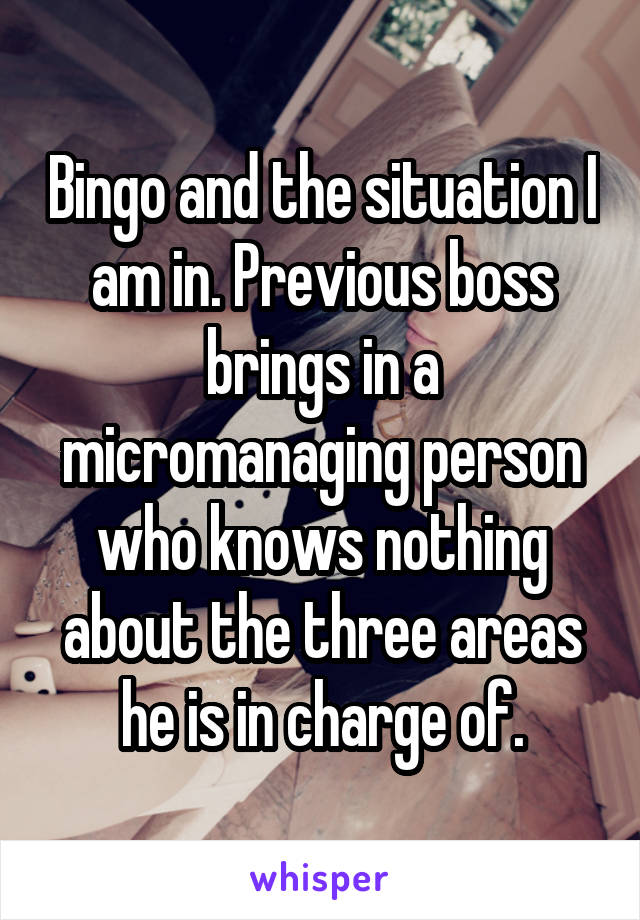 Bingo and the situation I am in. Previous boss brings in a micromanaging person who knows nothing about the three areas he is in charge of.