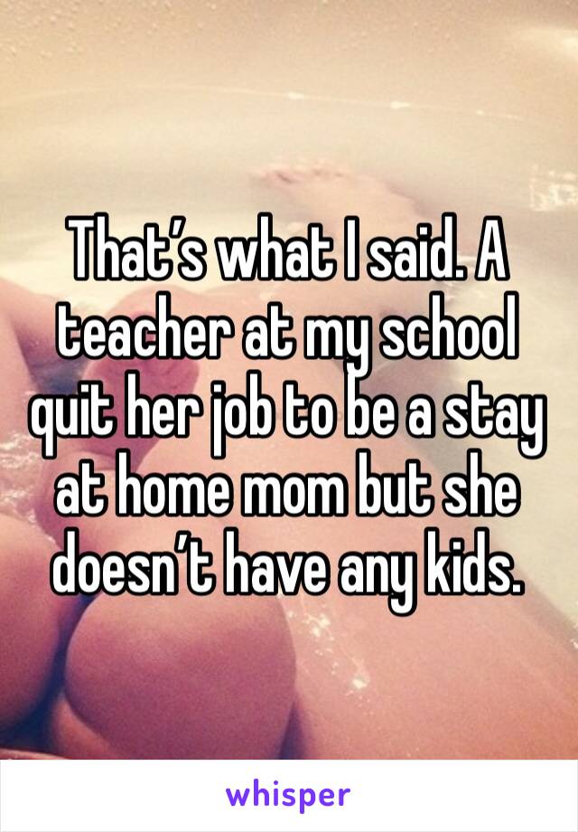 That’s what I said. A teacher at my school quit her job to be a stay at home mom but she doesn’t have any kids.