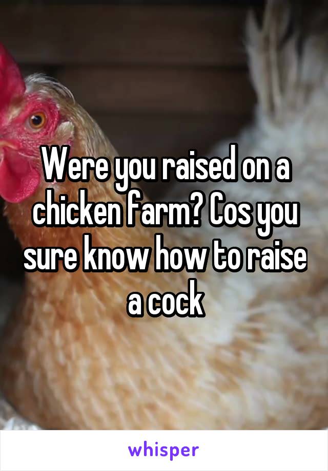 Were you raised on a chicken farm? Cos you sure know how to raise a cock