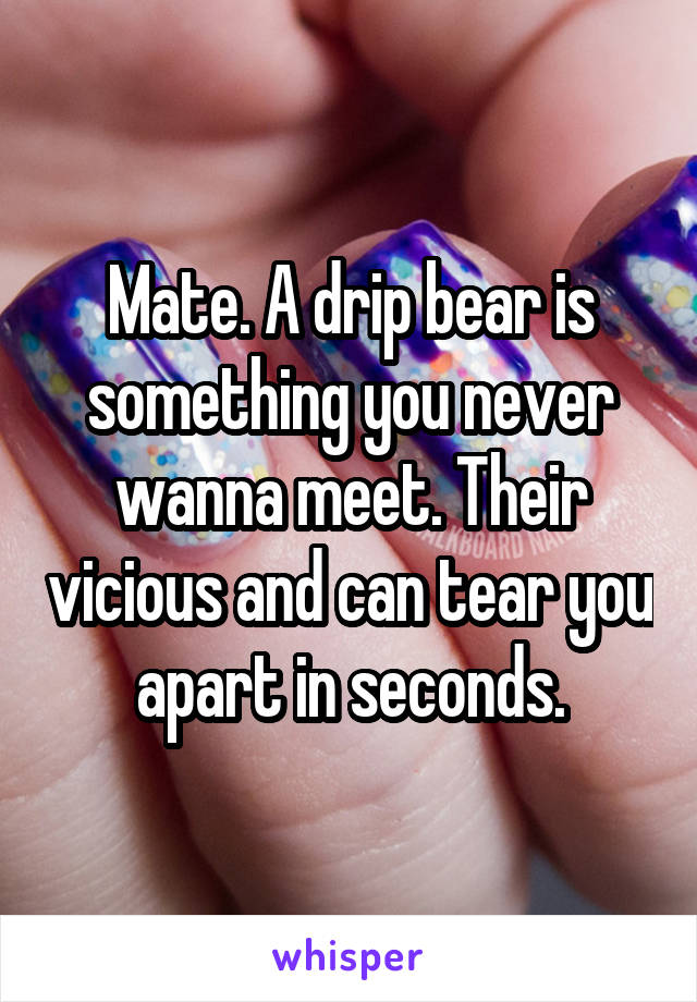 Mate. A drip bear is something you never wanna meet. Their vicious and can tear you apart in seconds.