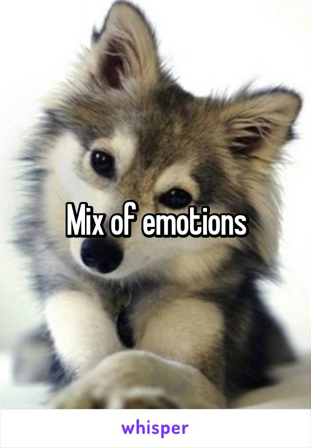 Mix of emotions