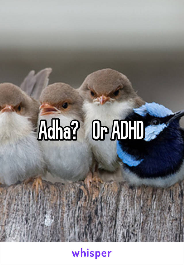 Adha?    Or ADHD 