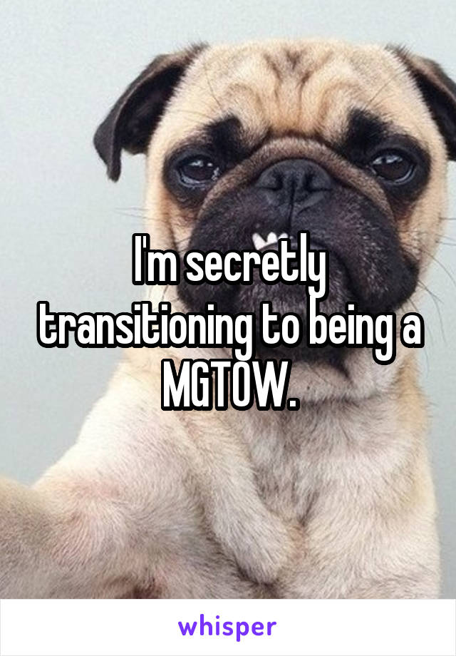 I'm secretly transitioning to being a MGTOW.