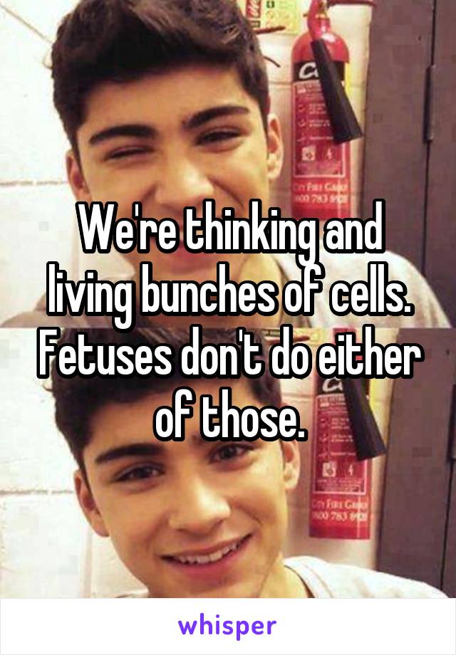 We're thinking and living bunches of cells. Fetuses don't do either of those.