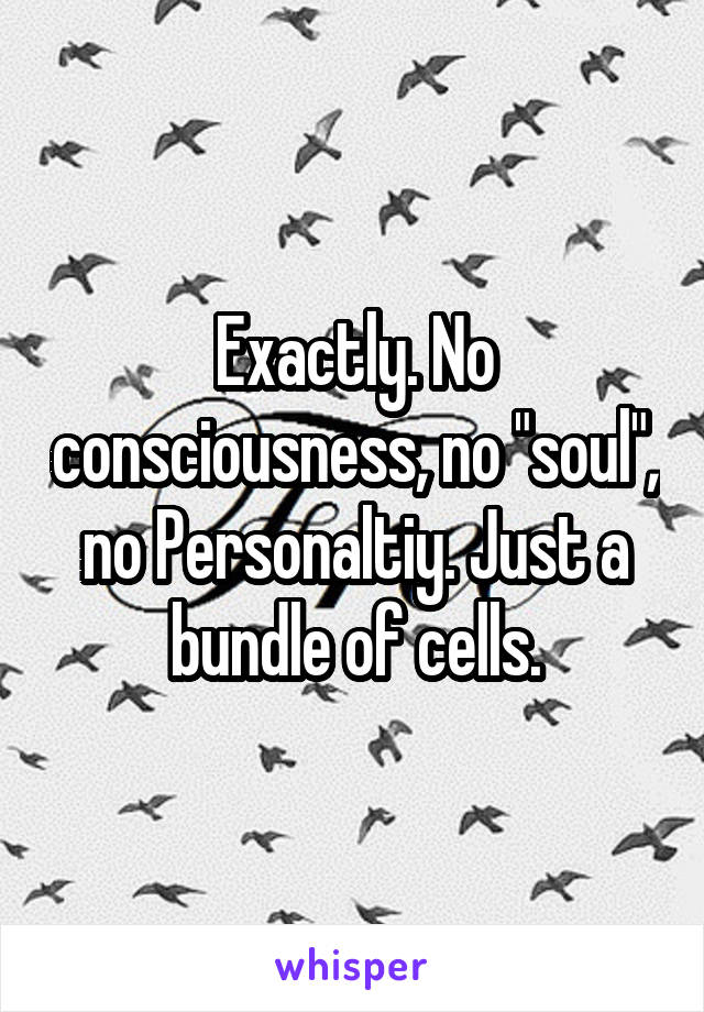 Exactly. No consciousness, no "soul", no Personaltiy. Just a bundle of cells.