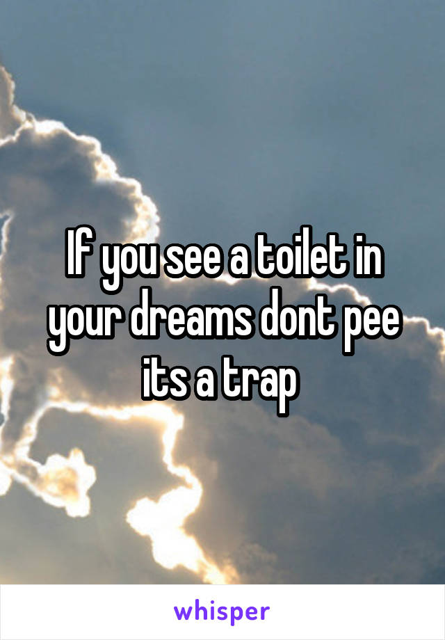 If you see a toilet in your dreams dont pee its a trap 