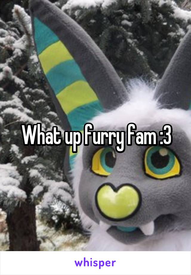 What up furry fam :3
