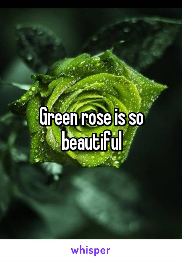 Green rose is so beautiful