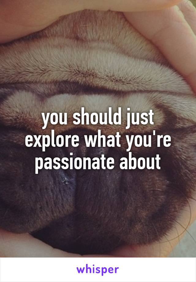 you should just explore what you're passionate about